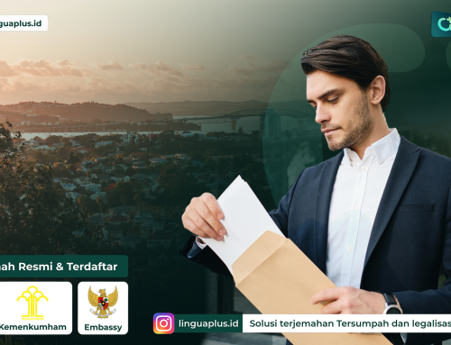 Syarat Kerja di Selandia Baru: dari Visa hingga Dokumen